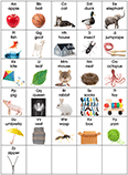 English Alphabet Poster and Charts Set
